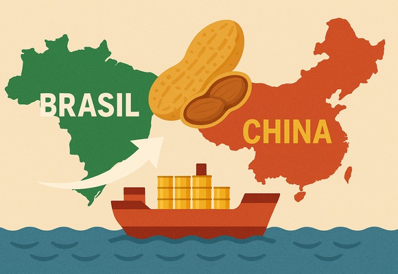 Junho - Safra e Exportações Brasieiras