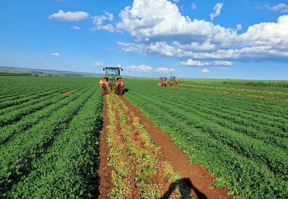 Fevereiro 2026 - Safra e Exportações Brasileiras